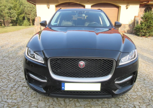 Jaguar F-Pace cena 84500 przebieg: 124677, rok produkcji 2016 z Rypin małe 67